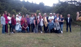 200 Bin Ağaç Kesilecek